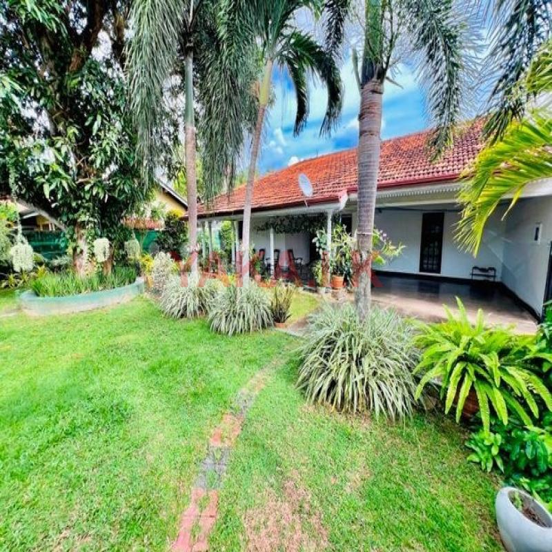 31.5 Perches Big Land Near Bus Road With Solid House For Sale In Negombo