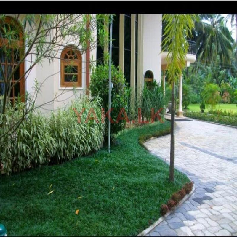 garden services landscaping maintenance