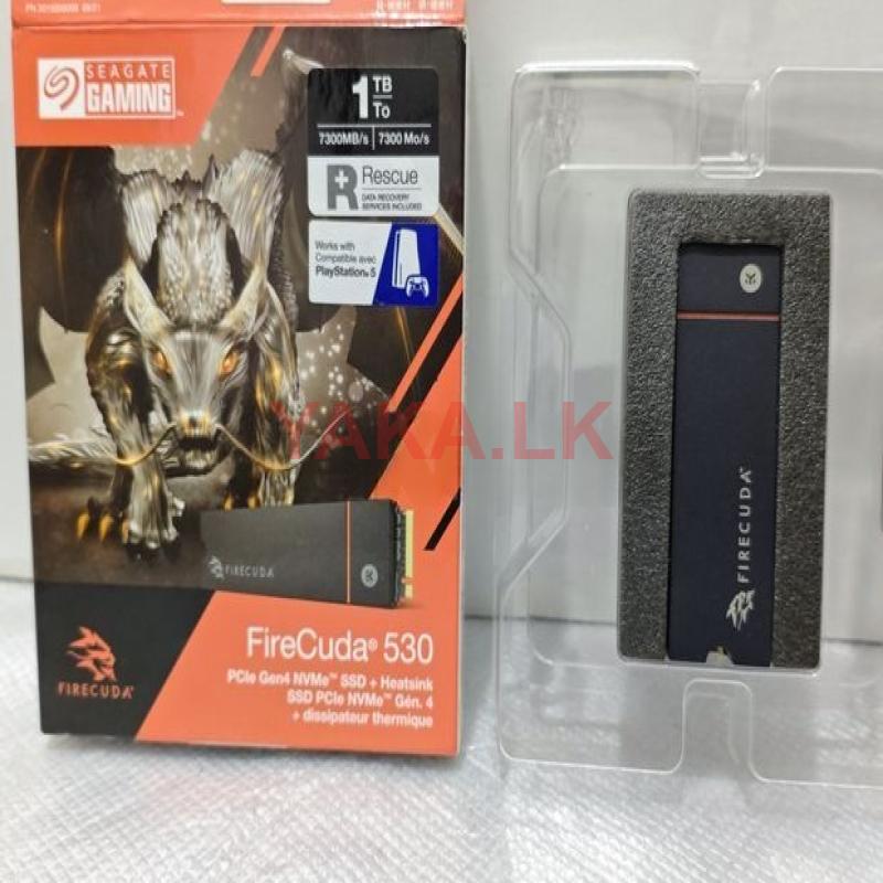 PS5 Storage Expansion