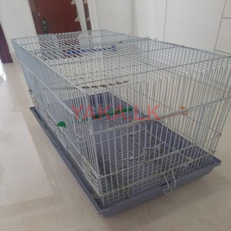 Bird Cage
