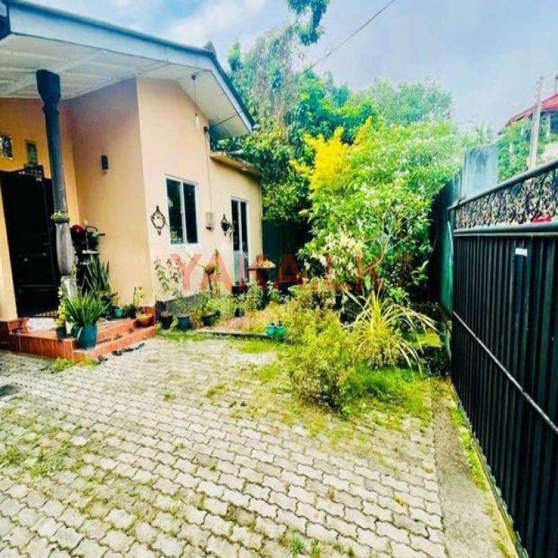 ( SDS-316) Valuable Single Storey House Sale in Maharagama