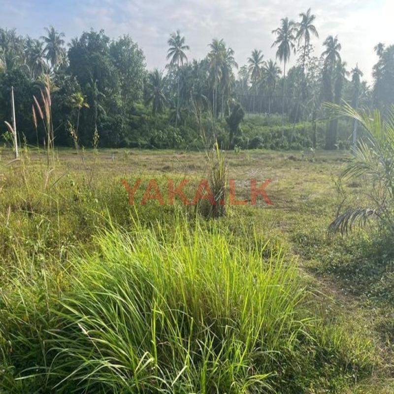 මිරිස්වත්ත පෙදෙසින් වටිනා ඉඩමක් විකිණීම