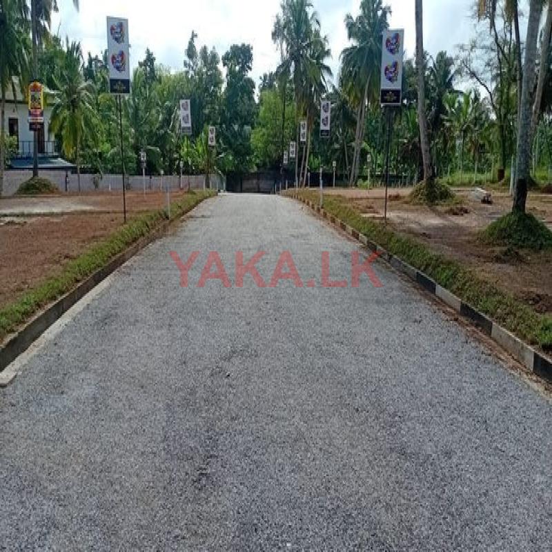 යක්කල නගරයට ඇවිදින දුරින් වැදගත් පරිසරයක බිම් කොටස්