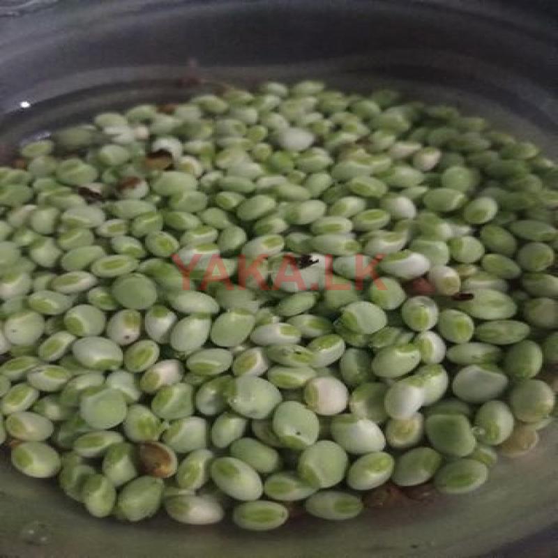 තෝර පරිප්පු