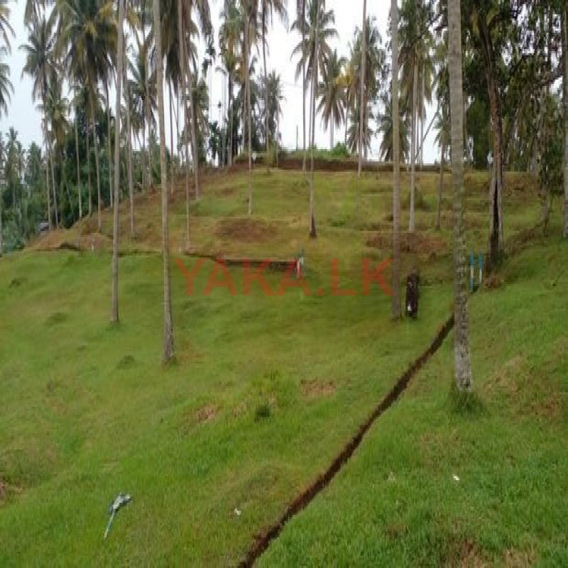 Land for Sale in Matara Labeema