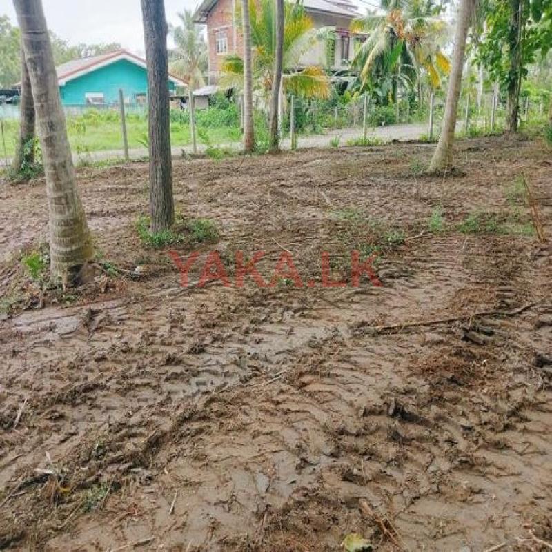 තoගල්ල මාරකොල්ලියෙන් බිම් කොටස් කිහිපයක් විකිණීමට R02