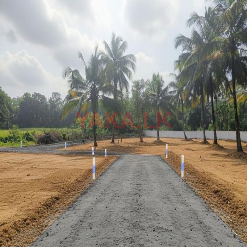 Land for Sale in Kurunagala Y 22
