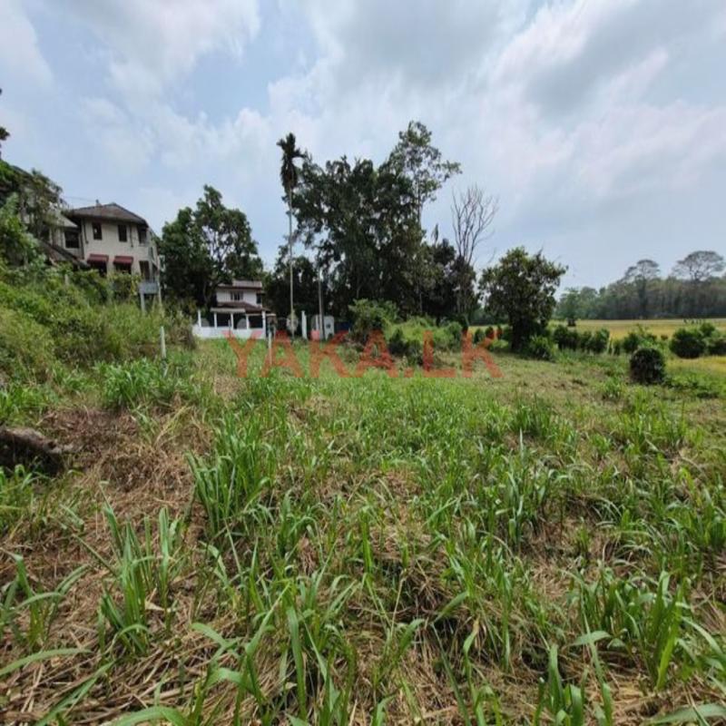Udawatta land for sale