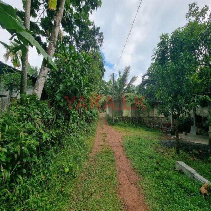 Land for sale in Veyangoda