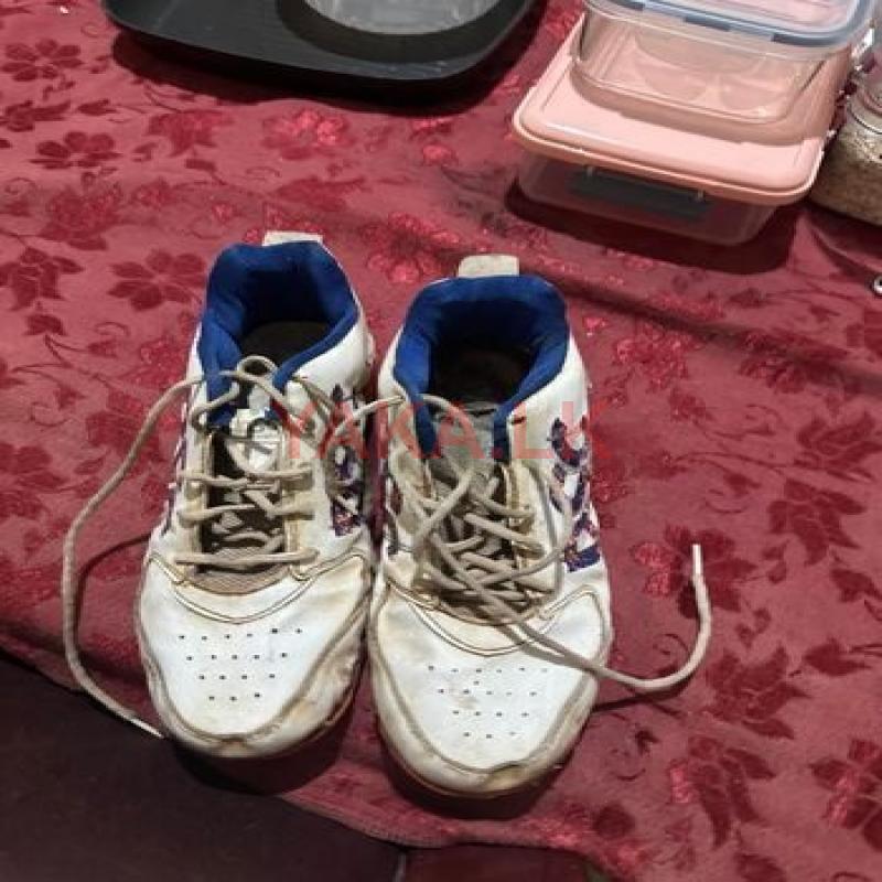 Cricket Shoes