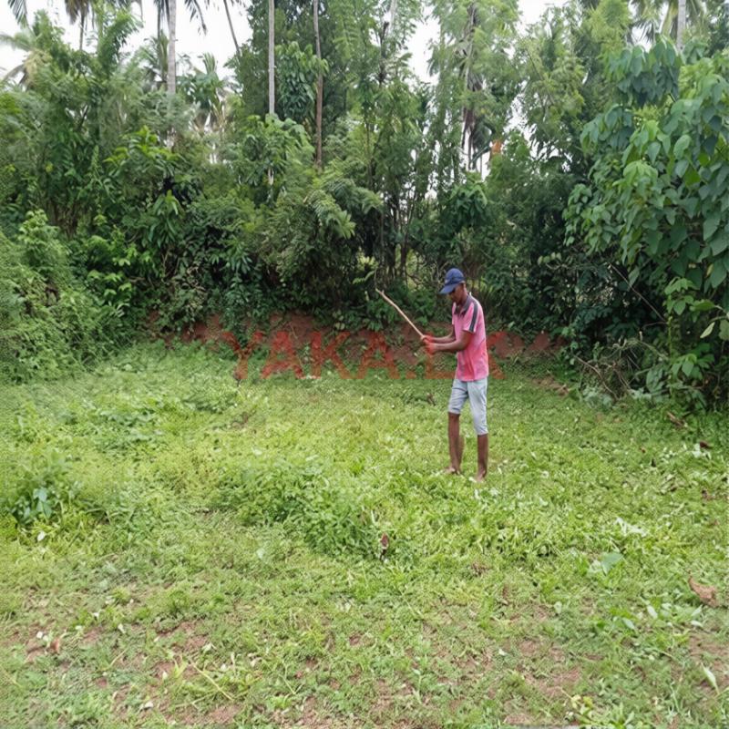 Land for Sale in Madelgamuwa - Maduruvita
