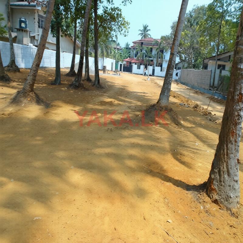 Wattala Mahabage Valuable Land for sale