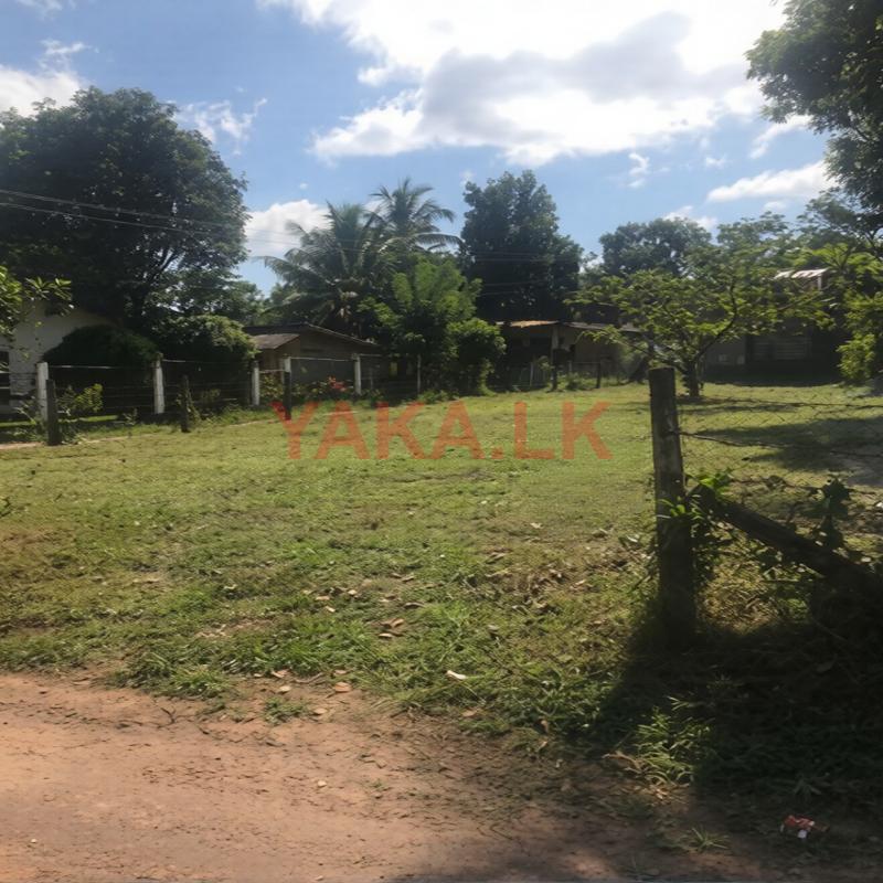 Land for Sale Near Gampaha Town