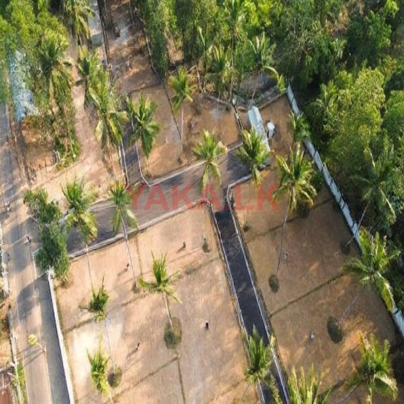 සුන්දර වෙල්යායකට මුහුණලා අගනා නේවාසික බිම් කොටස් විකිණීමට හෝකන්දරින්