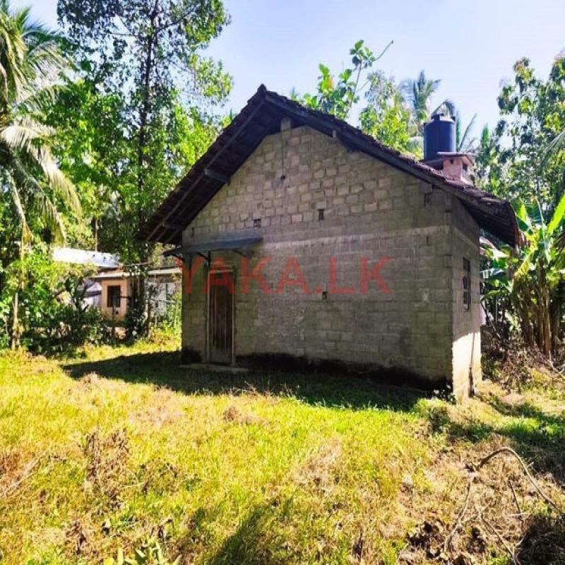 කිරිදිවැලින් ඉඩමක් සමග නිවසක්