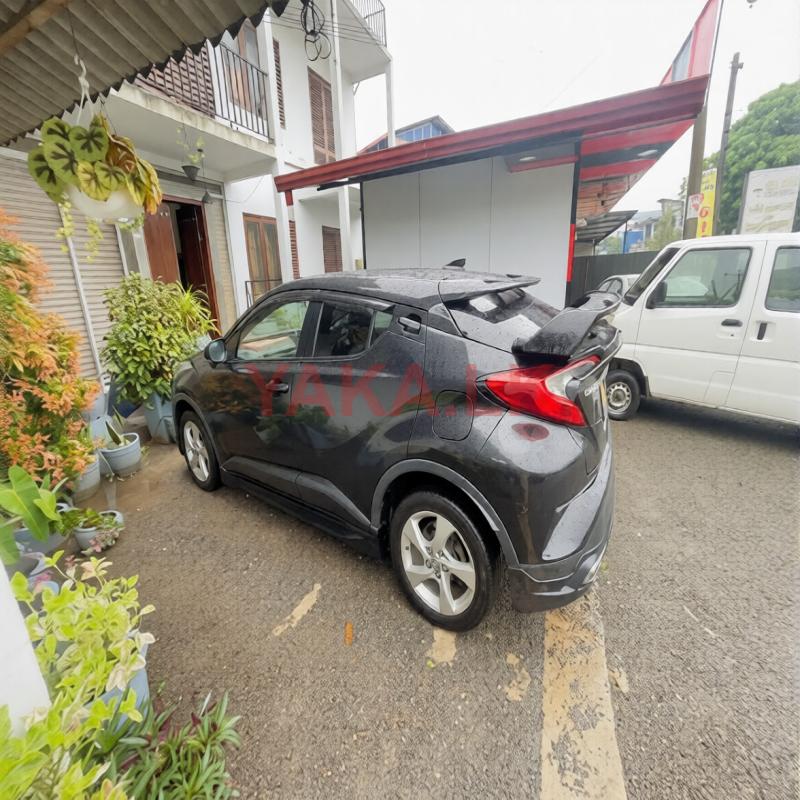 Toyota CHR for Rent