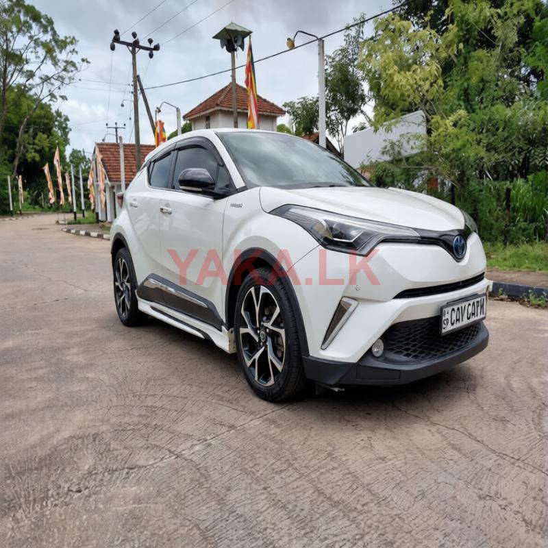 Toyota CHR-For Rent