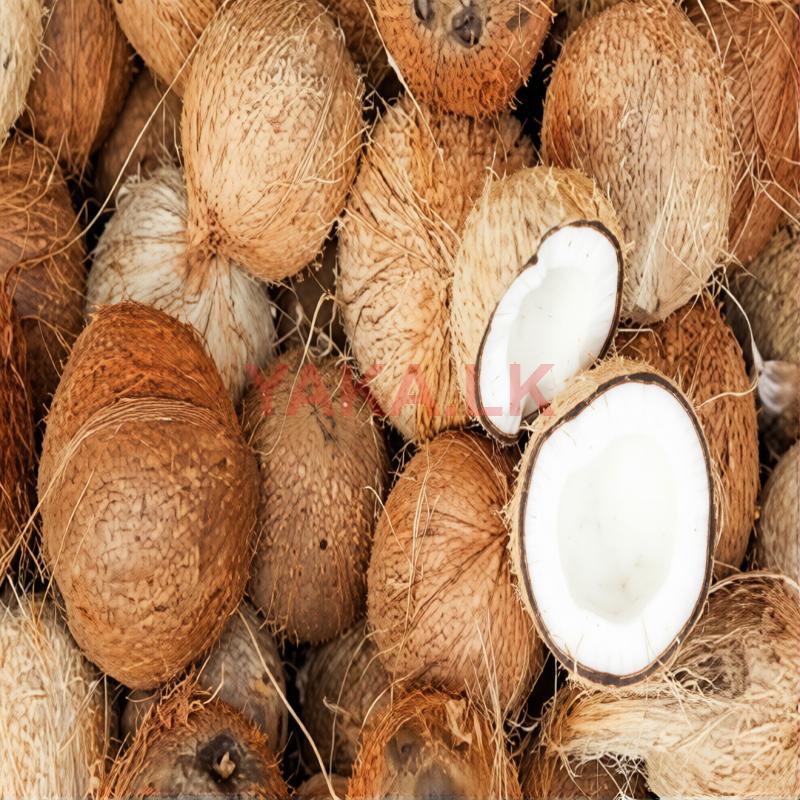 Coconut