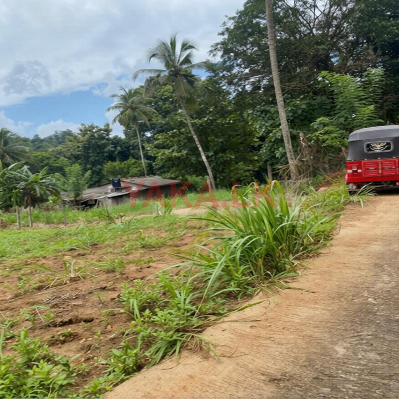 ලෝලුවගොඩ Land for Sale