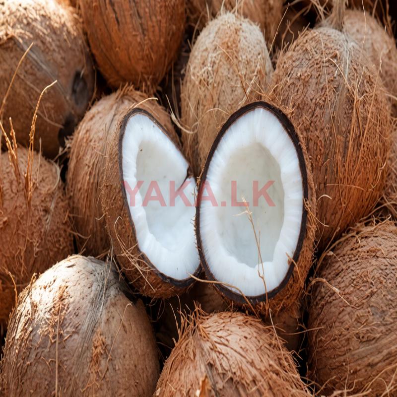 Coconut