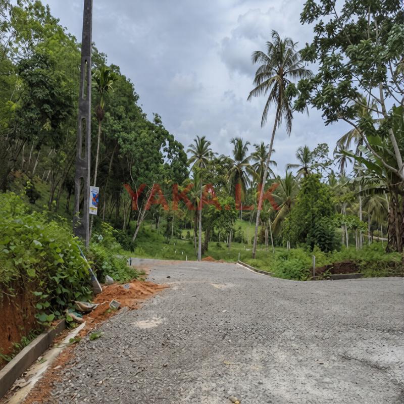 අහංගම සංචාරක කලාපයෙන් බිම් කොටස්