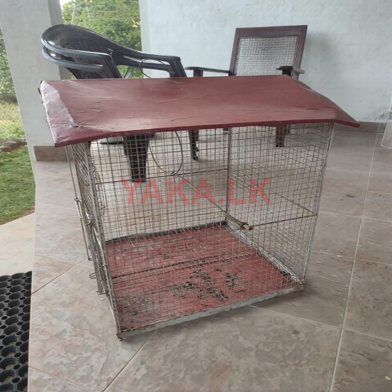 Bird Cage