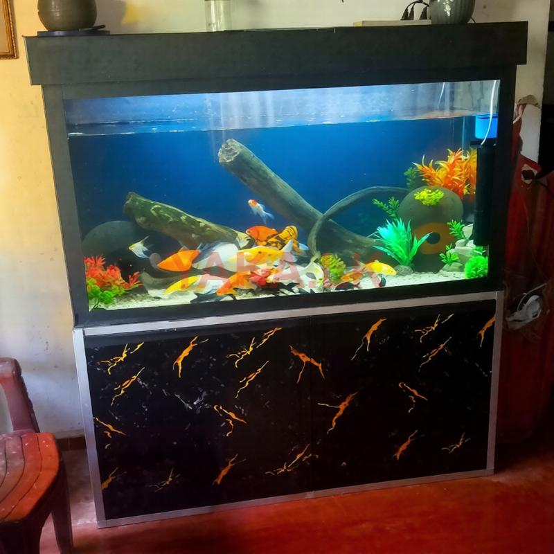 Fish Tank