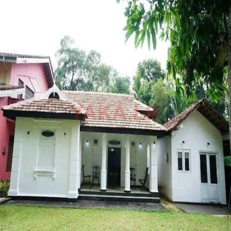 Fully Furnished Villa house rent in Negombo (Residential or Commercial)