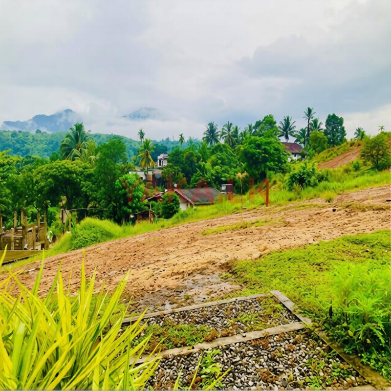 Valuable Land For sale in Avissawella Town
