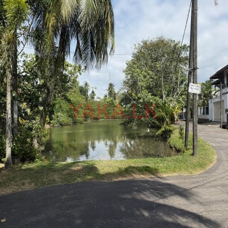 Land for Sale Talawathugoda