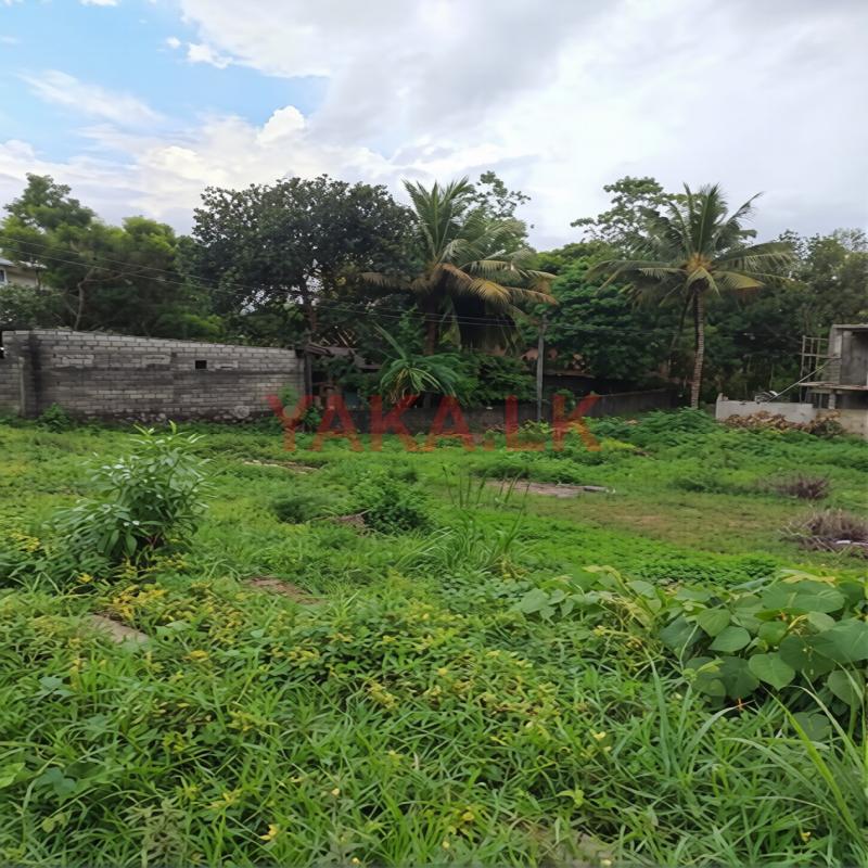 Prime Residential Land for Sale – Thalawathugoda