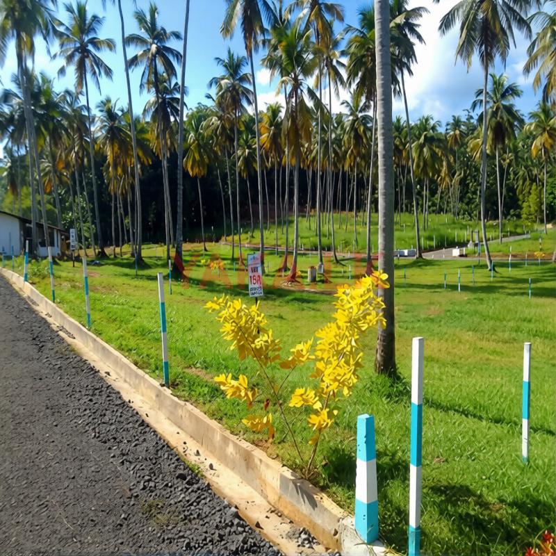 Land for Sale in Polgahawela M51