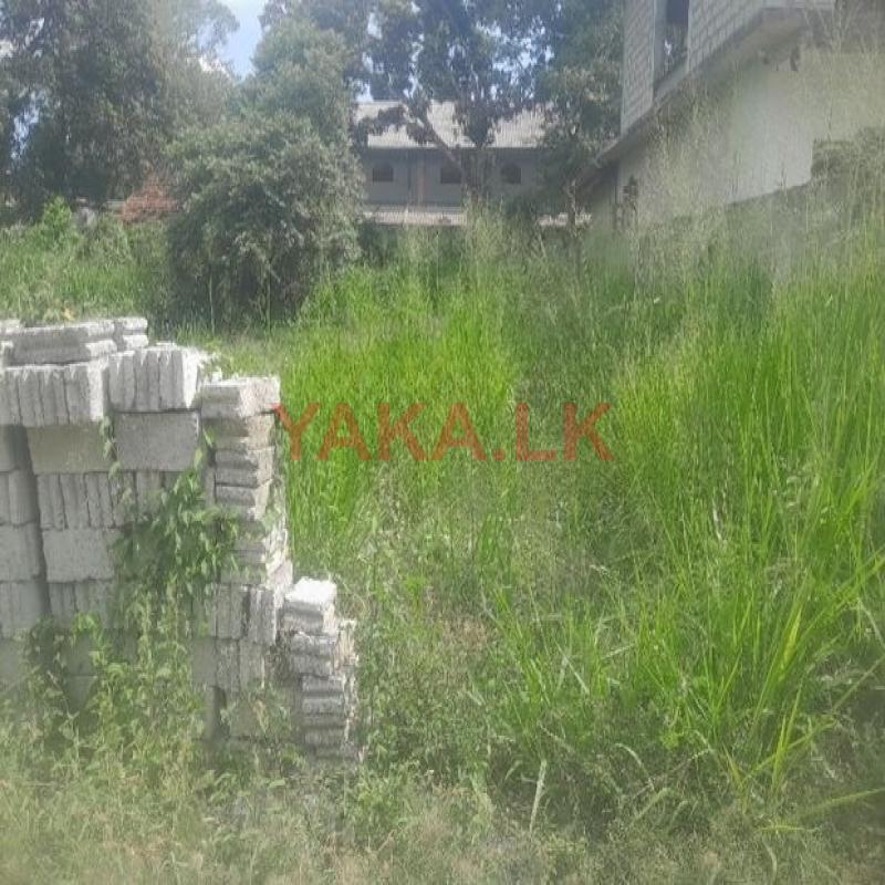 Land for Sale Wellawaya