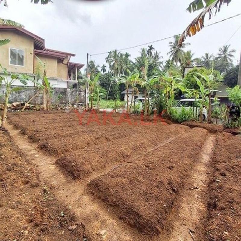 Valuable Land Property for Sale in Pitipana, Homagama.