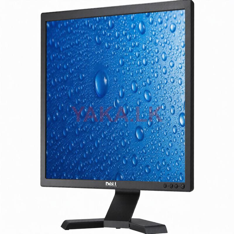Dell 19" Square Monitor