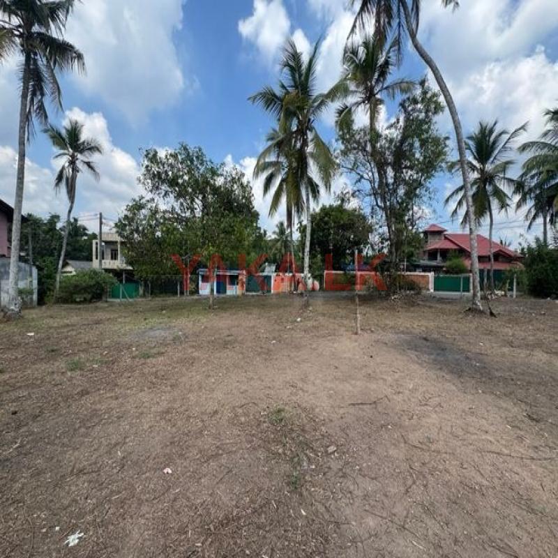 Valuable Land For Sale Ganemulla