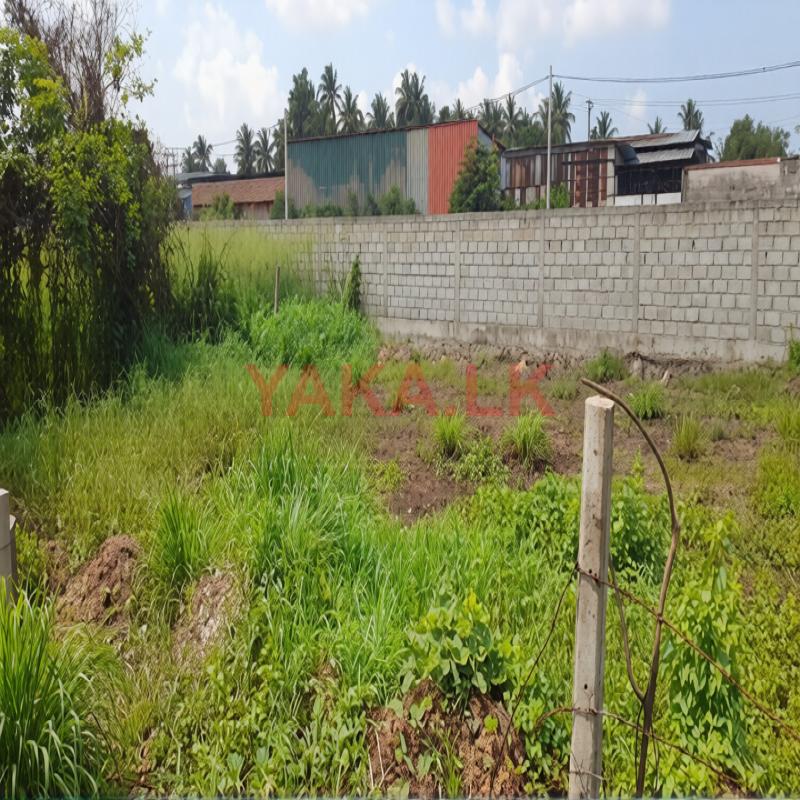 17 Purch Land For Sale Deman Handiya Katana Gampaha