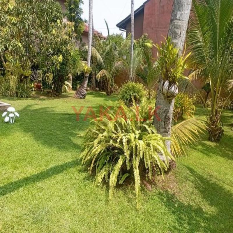 10 Perch Land For Sale Kurana Negombo Gampaha