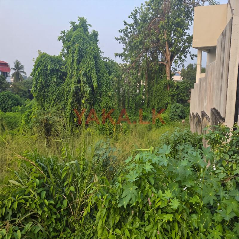 Land for sale in Kohuwala