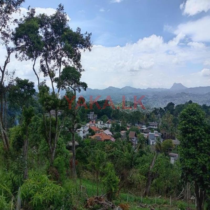 Beautiful View Point Land in Herrassagala