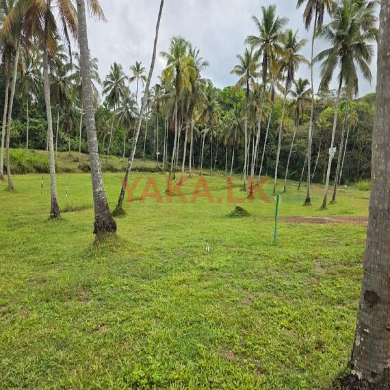Residential Land for Sale in Polgahawela D01