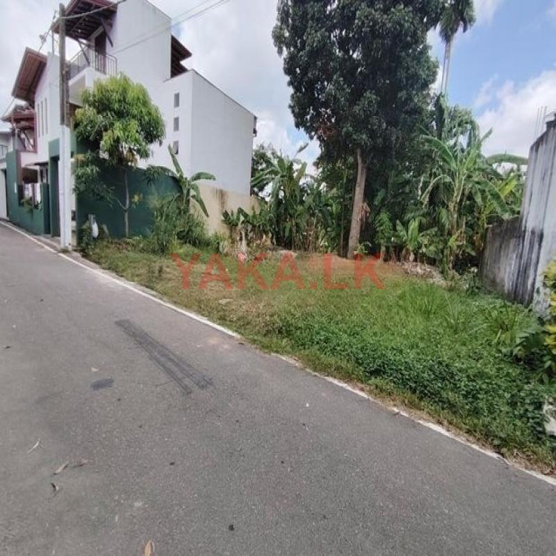 සුපරි ඉඩමි කෑබෑල්ලක් විකිනිමට කොටිටාවෙි