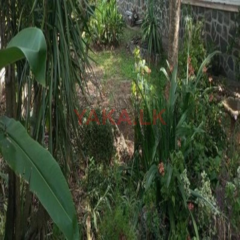 56 Perches Land Sale in Mt Lavinia