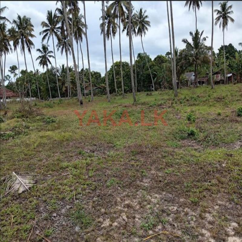 Land for sale in Katana Negombo