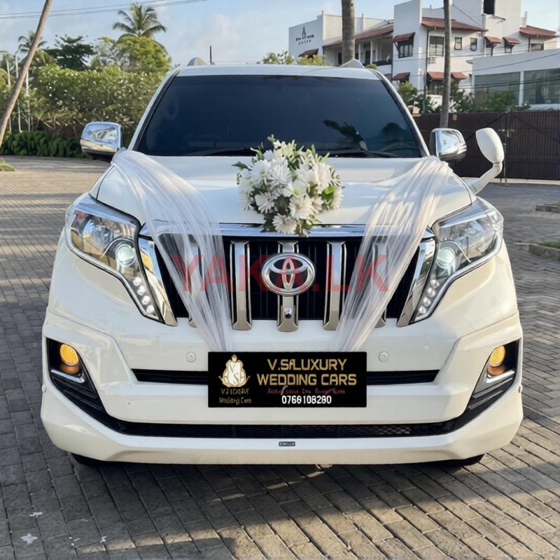 Wedding Car Hires - Land Cruiser Prado 150 Tx with Free Decorations