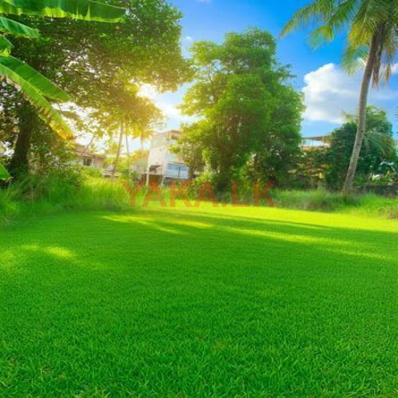 68.5 P Land for Sale at Maharagama