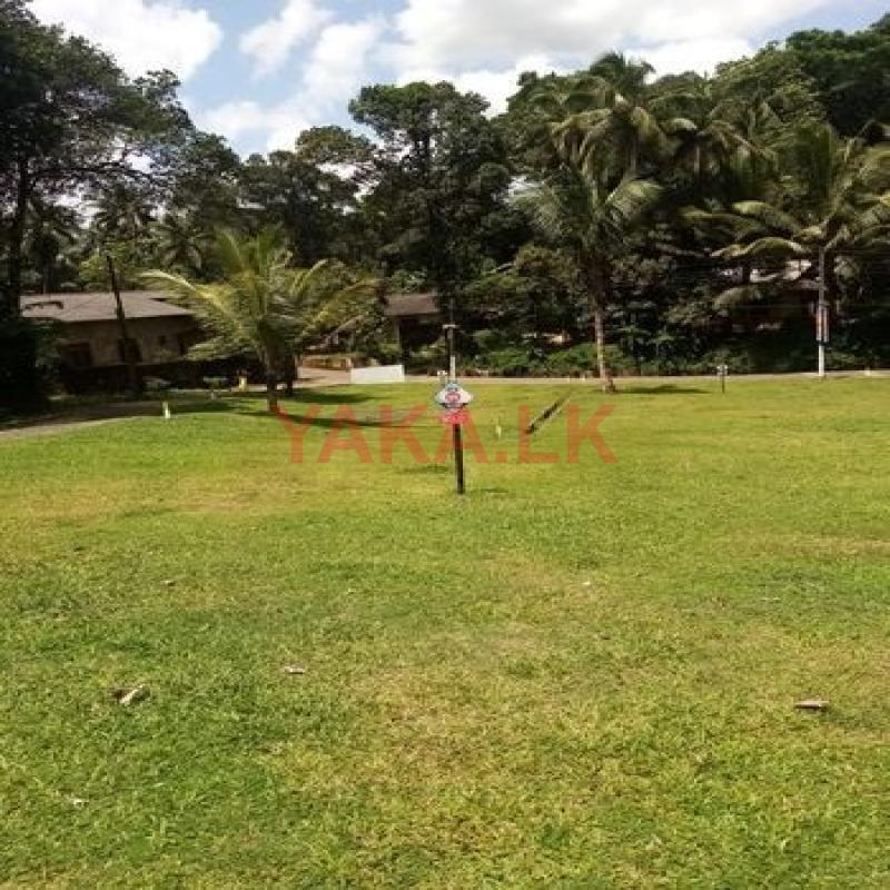 කොස්ගමින් වටිනා බිම් කොටසක්