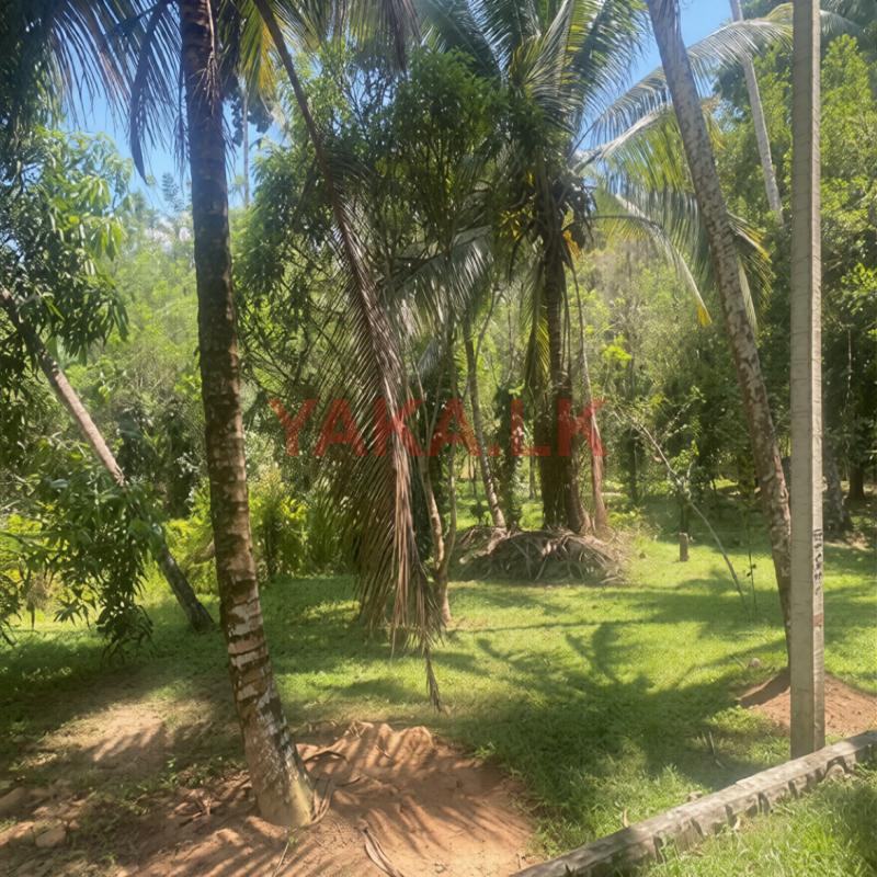 Land For Sale Hakmana