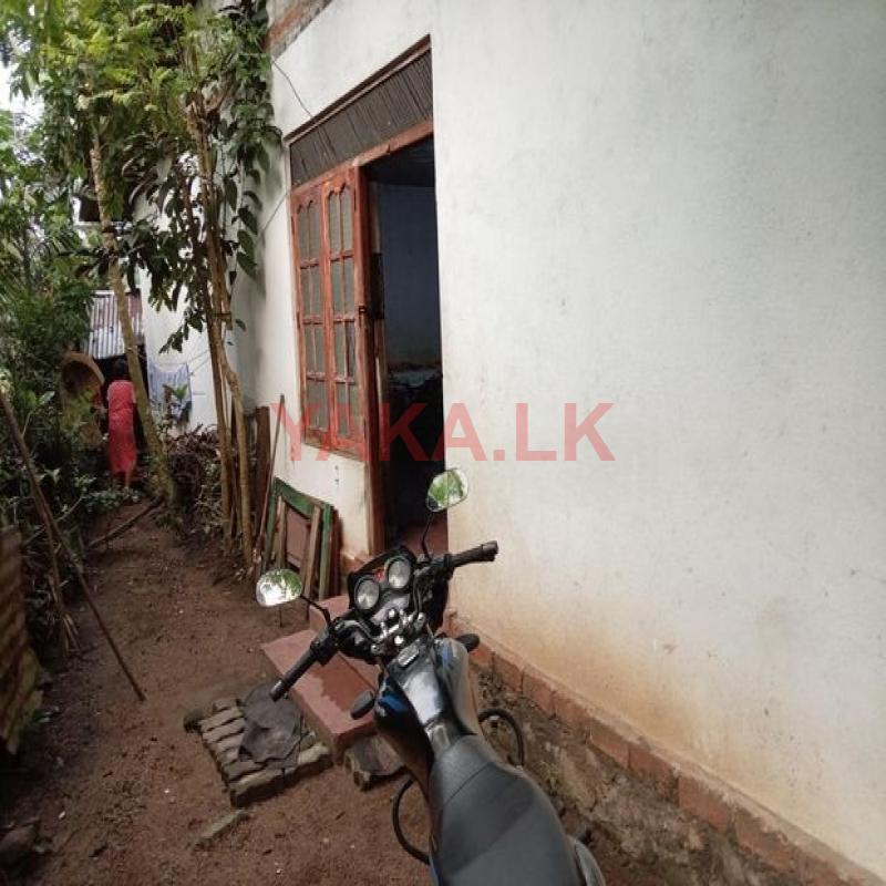 නිවස සහිත ඉඩම විකිණීමට - හංවැල්ල