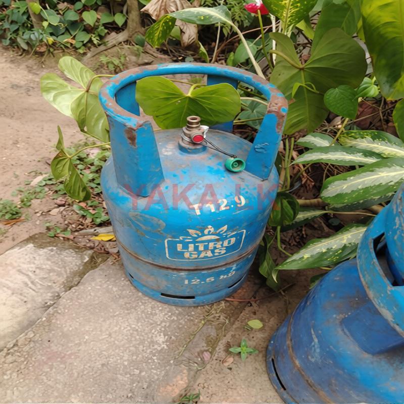 Litro Gas 12.5KG Empty Cylinder